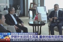 包含2017叙利亚vs伊朗的词条