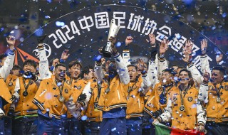 恒大vs申花2017录像(恒大vs申花上半场补时4分钟)