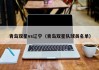 青岛双星vs辽宁（青岛双星队球员名单）