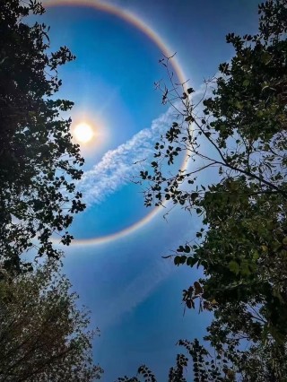 太阳vs天空历史(太阳vs天空直播)