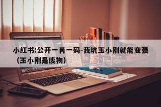 小红书:公开一肖一码-我坑玉小刚就能变强（玉小刚是废物）