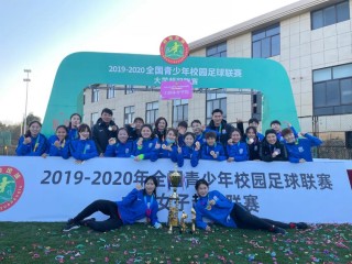 足球特体(足球tifo)