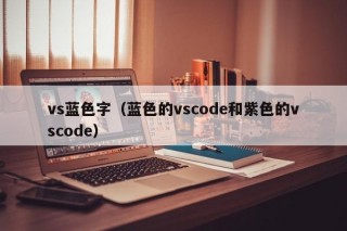 vs蓝色字（蓝色的vscode和紫色的vscode）