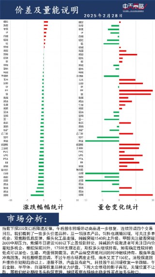 中天策略:2月28日市场分析