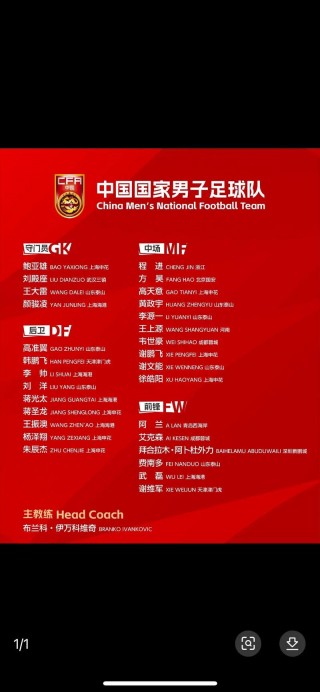 23人足球队(234人足球员)
