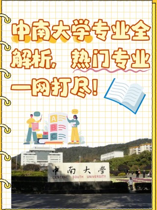 中南大学vs湖北工业(中南大学vs湖北工业大学排名)