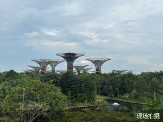 旅企“618”开打暑期促销战：产品范围更广、经济型产品成主流