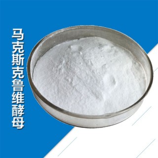 克鲁vs维(克鲁对什鲁斯历史战绩)