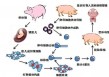 波鸿vs克隆(波鸿vs法兰克福预测)