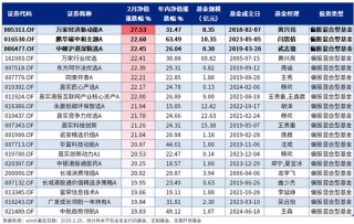 2月绩优基金|股混基金年内最高涨幅超63%