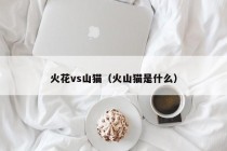 火花vs山猫（火山猫是什么）