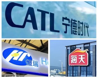 宁德时代、恒瑞医药、海天味业，纷纷启动路演