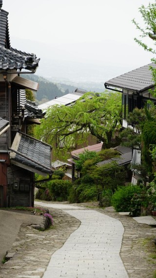 长崎vs大阪樱花(长崎vs大宫松鼠直播)