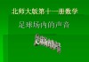 足球场声音(足球场噪音多少分贝)
