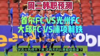 fc首尔vs浦项制铁(首尔fc vs浦项制铁)