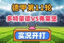 弗赖堡VS多特蒙德大小对比的简单介绍