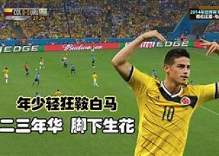 j罗vs大卫席尔瓦的简单介绍