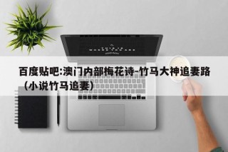 百度贴吧:澳门内部梅花诗-竹马大神追妻路（小说竹马追妻）
