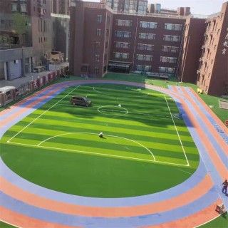 上海11人足球场(上海11人足球场事件)