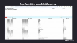 DeepSeek 数据库……裸奔……百万敏感数据任人取……