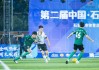 武汉vs石家庄足球(武汉vs石家庄足球比赛)