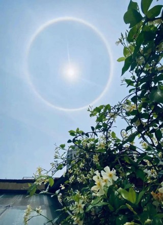 太阳vs天空历史(太阳vs天空直播)