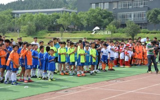 绿茵少年足球(绿茵少年足球俱乐部)