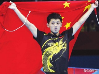 关于张继科vs樊振东2017的信息