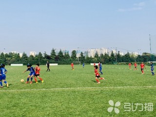 江苏省足球赛(2021年江苏省足球锦标赛)