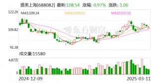 盛美上海：董事、副总经理辞职暨核心技术人员调整