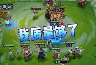 圣马丁vs老虎(圣马丁vs奎梅萨)