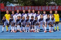 学校足球队的组建(学校足球队的组建情况)