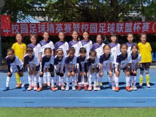 学校足球队的组建(学校足球队的组建情况)