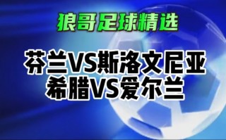 斯洛文尼亚vs芬兰(斯洛文尼亚vs法国结果)
