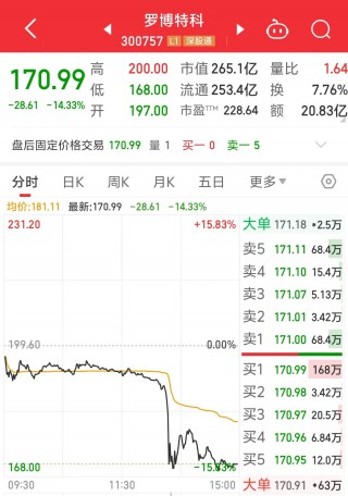 股价跳水跌超14%！罗博特科回应“暂缓审议”期限