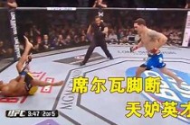 关于里德尔vs席尔瓦的信息