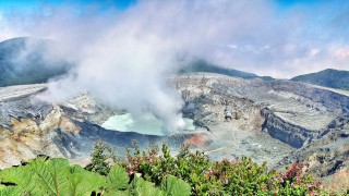 包含火山vs卓尔的词条
