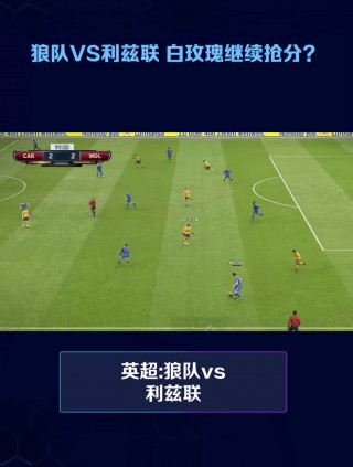 利兹vs狼队(狼队 vs 利兹联)