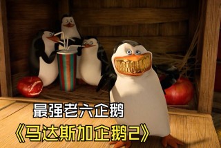 企鹅足球录像(企鹅足球直播室视频)