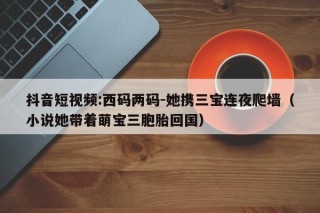 抖音短视频:西码两码-她携三宝连夜爬墙（小说她带着萌宝三胞胎回国）