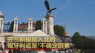 芬兰vs匈牙利分析(芬兰队vs俄罗斯比分预测)
