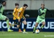 亚冠上海vs首尔(上海上港10首尔fc)