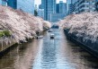 扎幌VS樱花(札幌vs东京fc比赛预测)
