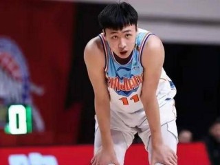 新疆vs辽宁的简单介绍