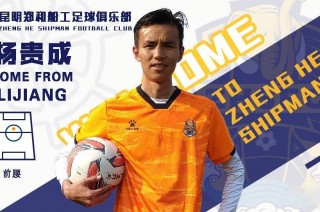 足球运动员杨(足球运动员杨晨个人资料)