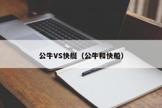 公牛VS快艇（公牛和快船）