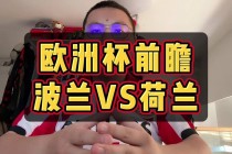 荷兰vs波兰ds(荷兰vs波兰大小球比分)