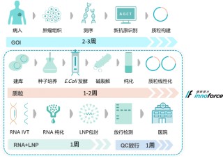 1+12治疗模式激活特异性抗肿瘤免疫系统-中国首个PD-1单抗联合mRNA个性化肿瘤疫苗临床试验披露