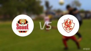 光州fcvs首尔fc(光州fc对首尔fc比分预测)