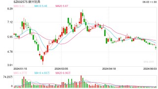 群兴玩具关键期再陷危机： 实控人王叁寿配合协助调查，第一大股东股份将被拍卖